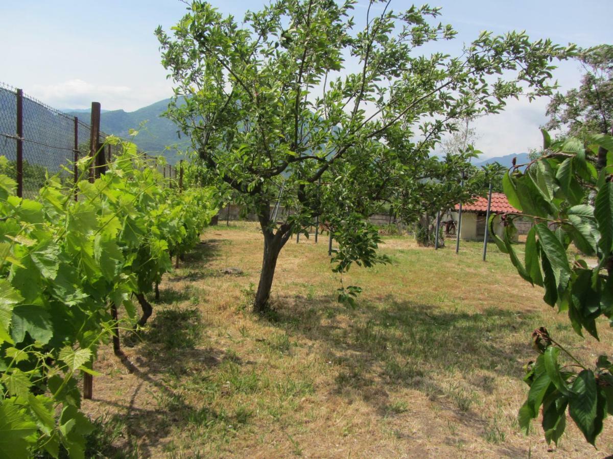 Гостевой дом Pomegranate Tree House - Meteora Калампака Экстерьер фото